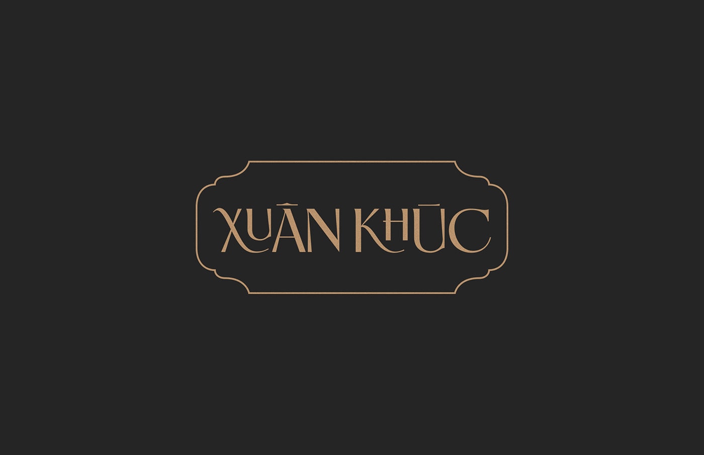 現(xiàn)代越南糖果品牌vi包裝設(shè)計(jì)和品牌策劃，食品VI設(shè)計(jì)，食品包裝設(shè)計(jì)，品牌策劃，深圳VI設(shè)計(jì)，左右格局